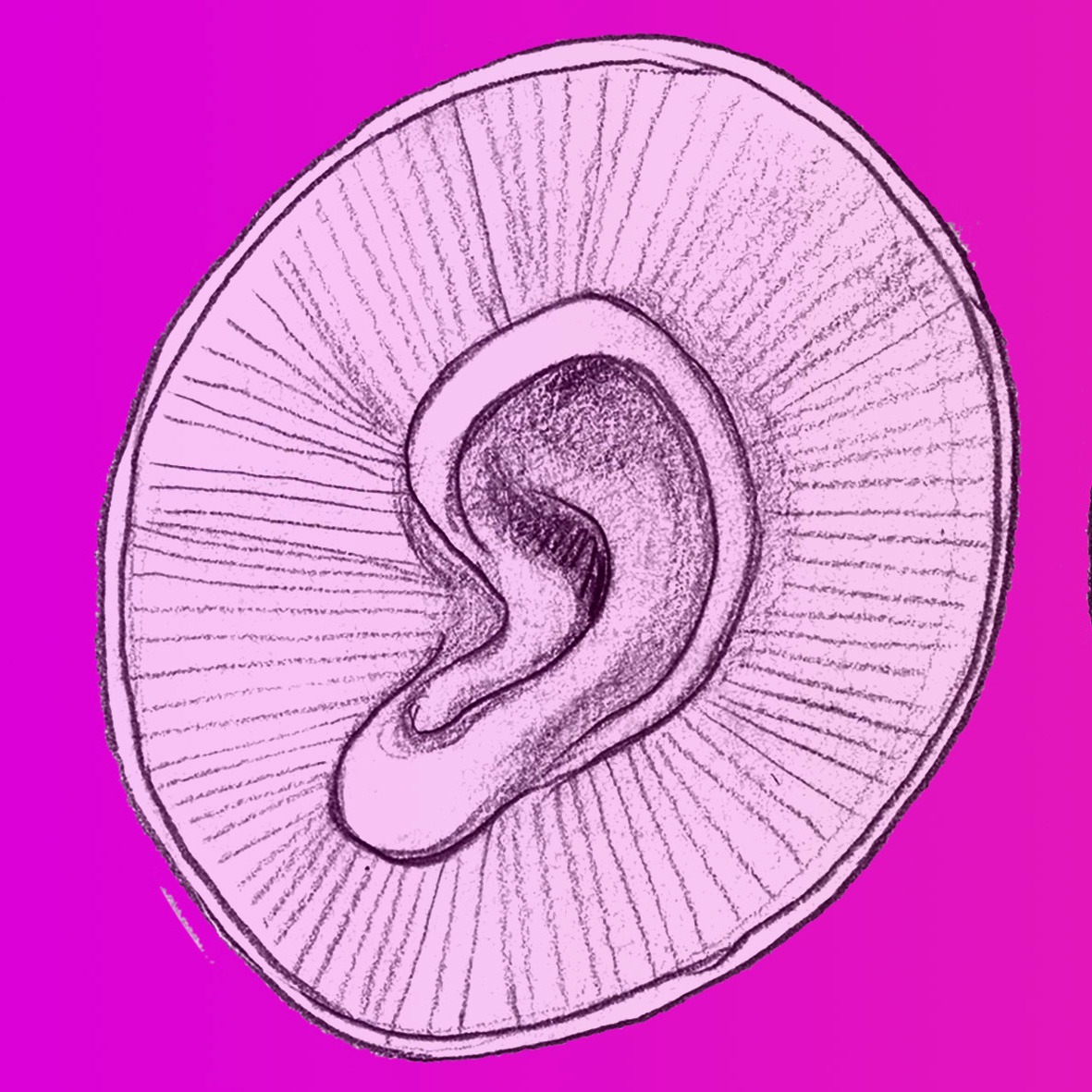 Bonnardise sonore